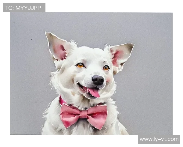 足球球星谁属狗揭秘 看看这些球员和狗的缘分有多深